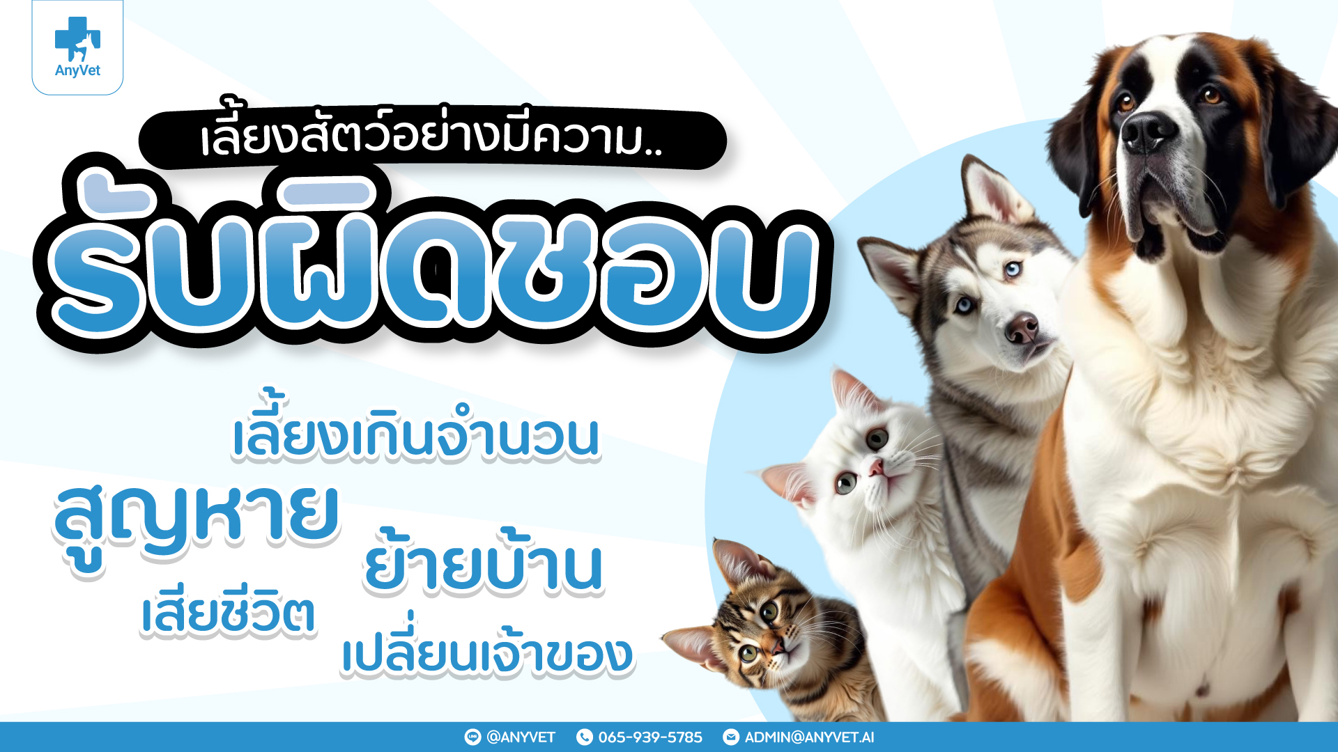 Responsible Pet Ownership: Complying with Bangkok’s Animal Control Ordinance